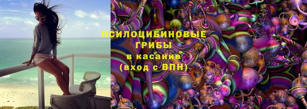 дмт Арсеньев
