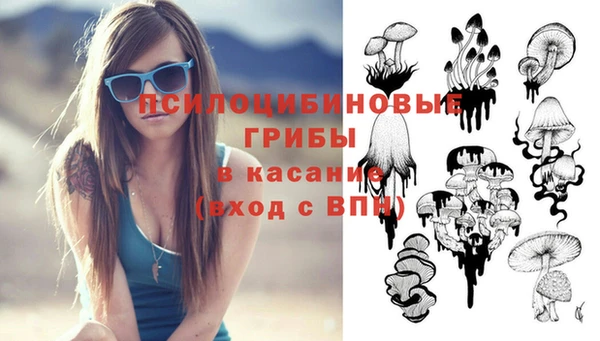 молекула духа Алексеевка