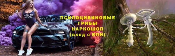 молекула духа Алексеевка